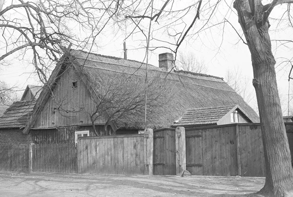 Chałupa kryta strzechą, Boruja, 1975, oryginał czarno-biały