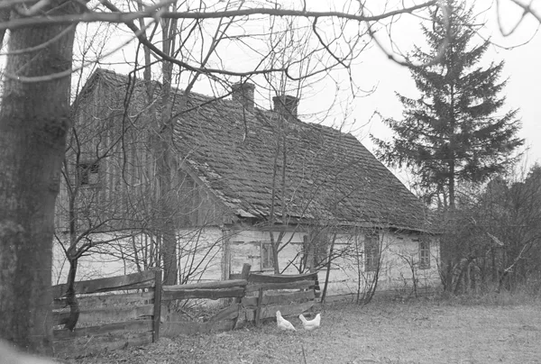 Chałupa sumikowo-łątkowa, Boruja, 1975, oryginał czarno-biały