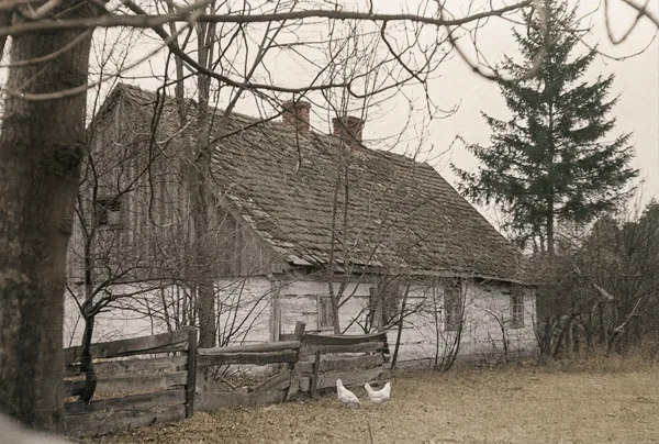 Chałupa sumikowo-łątkowa w Borui, 1975
