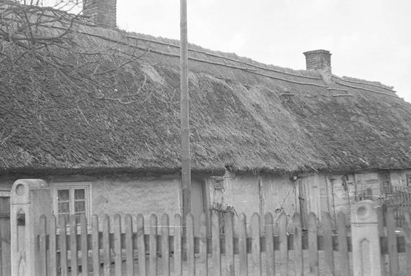 Chałupa z częścią mieszkalną i gospodarczą pod jednym dachem, Boruja, 1975, oryginał czarno-biały