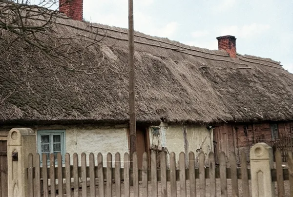 Drewniana chałupa z częścią gospodarczą pod jednym dachem w Borui, 1975