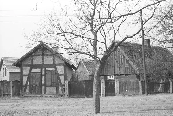 Dwa typowe dla wsi rodzaje budownictwa: ryglowe i zrębowe, Boruja, 1975, oryginał czarno-biały