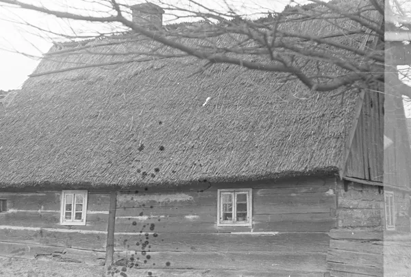Najstarsza we wsi chałupa zrębowo-słupowa, Boruja, 1975, oryginał czarno-biały