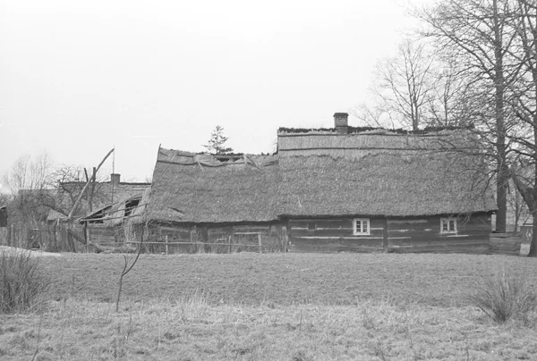 Stara chałupa zrębowa pod strzechą, Boruja, 1975, oryginał czarno-biały